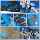 종필목장 이미지