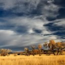 총신대학교 일반대학원 이미지