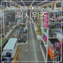 피시위즈
