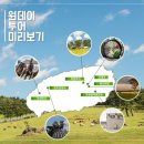 (주)진투어 이미지