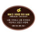 아이들을 기릴 추모문구, 함께해주세요🙏 이미지