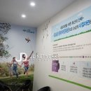 제이디 네트웍스 이미지