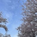 세븐일레븐산방로드점 이미지