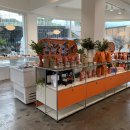 브루다 양주 이미지