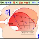 한국어 [위]와 중국어 [ ü ]의 발음상의 차이 이미지