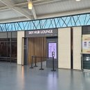 허브 크리닝 | [구마모토 혼자여행 🇯🇵] 김해공항 스카이허브 라운지 무료 이용 후기 | 트립닷컴 다이아몬드 등급 혜택