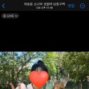 항사농장 | 10. 호주 혼자 여행 9일차 - 브리즈번