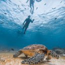 안경마트필 | 보홀여행 리뷰 앙딱정(숙소, 맛집, 투어, 기념품샵, 환전, 면세)