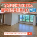 강정동-48 이미지