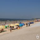 대천해수욕장 이미지