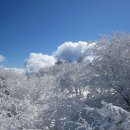 16년1월16-17일 한라산 눈꽃 산행 & 차귀도 이미지
