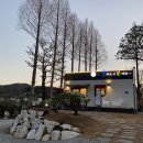 늘푸르고꽃피는까페