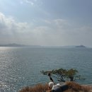 롯데수원피엘라벤
