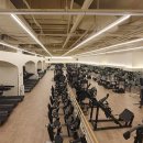 월드휘트니스 이미지