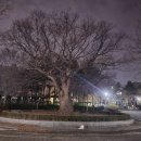 모롱지공원 이미지