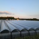 패밀리농장 이미지