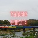 신일오토서비스 | 대구 근교 오토캠핑장 추천, 영천 별밤캠프 벼룩시장과 이벤트 그리고 영천시장 맛집 포장