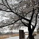 완주 봉동 카페 경성살롱, 개화기 풍의 고즈넉한 전주 여행길