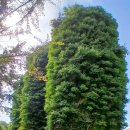 태산목장 이미지