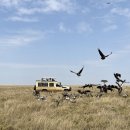 상주함창우체국 화장실 | 탄자니아여행 7박 9일 (4)세렝게티 국립공원 북부, 게임드라이브, 파모자 마이그레이션 캠프