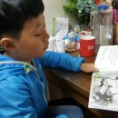 XPL태권도장 이미지