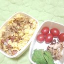 액티브 복싱클럽 이미지