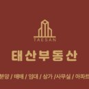 똘똘하개 네이버블로그