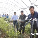 LG전자한림센타