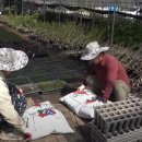 승평농장 이미지