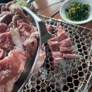 신례토종닭식당