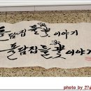 캘리그라피 Daum카페