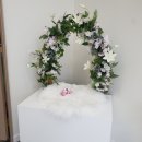 바이그루밍 이미지