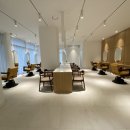 살롱드독 이미지