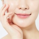 달리에스테 이미지
