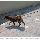 공감 - 용인시 수지구 풍덕천로172번길 3-9 | 공감