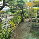 서파촌원조쌈밥순두부 이미지