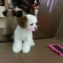 동래종합동물병원 이미지