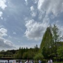 초심, 처음태권도 이미지