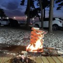 미산가족오토캠핑장 이미지