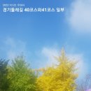 아모르(Amor) 이미지