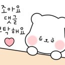 옥포태양동물병원 이미지