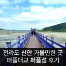 전라도 신안 가볼 만한 곳 온 마을이 보라색 천국 퍼플섬 퍼플교