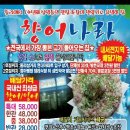 성민약국 이미지