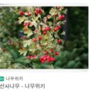 形(형)?積(적)- 이미지