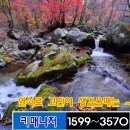 목동현대자동차