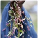 전통한옥민박 이미지