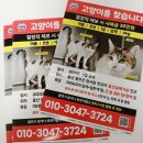 주주김밥 - 경주시 불국신택지4길 17 | 불국사 카페올드시티, 주주김밥 후기