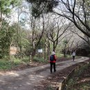 아라메길 (삼길나루길-등산로) 이미지