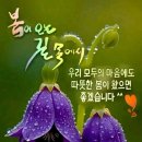 오늘은 - 마포구 어울마당로 100-8 | 오늘은