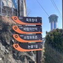 세븐일레븐 동해묵호등대점 | 묵호등대로 이어지는 동해나들이 코스 논골담길과 소품샵 후기
